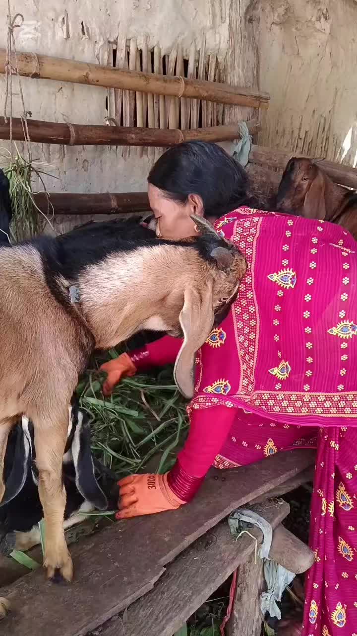 @Reshma Bhattarai