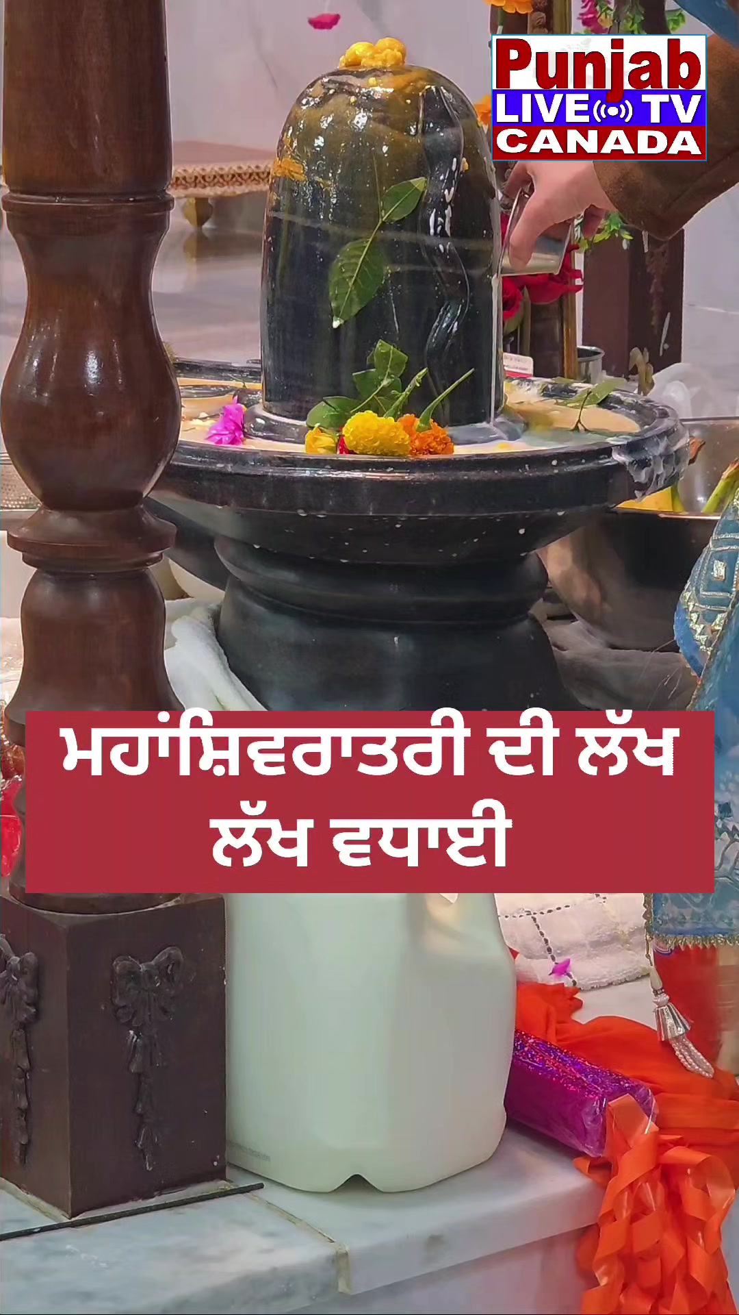 @PunjabLiveTv Canada