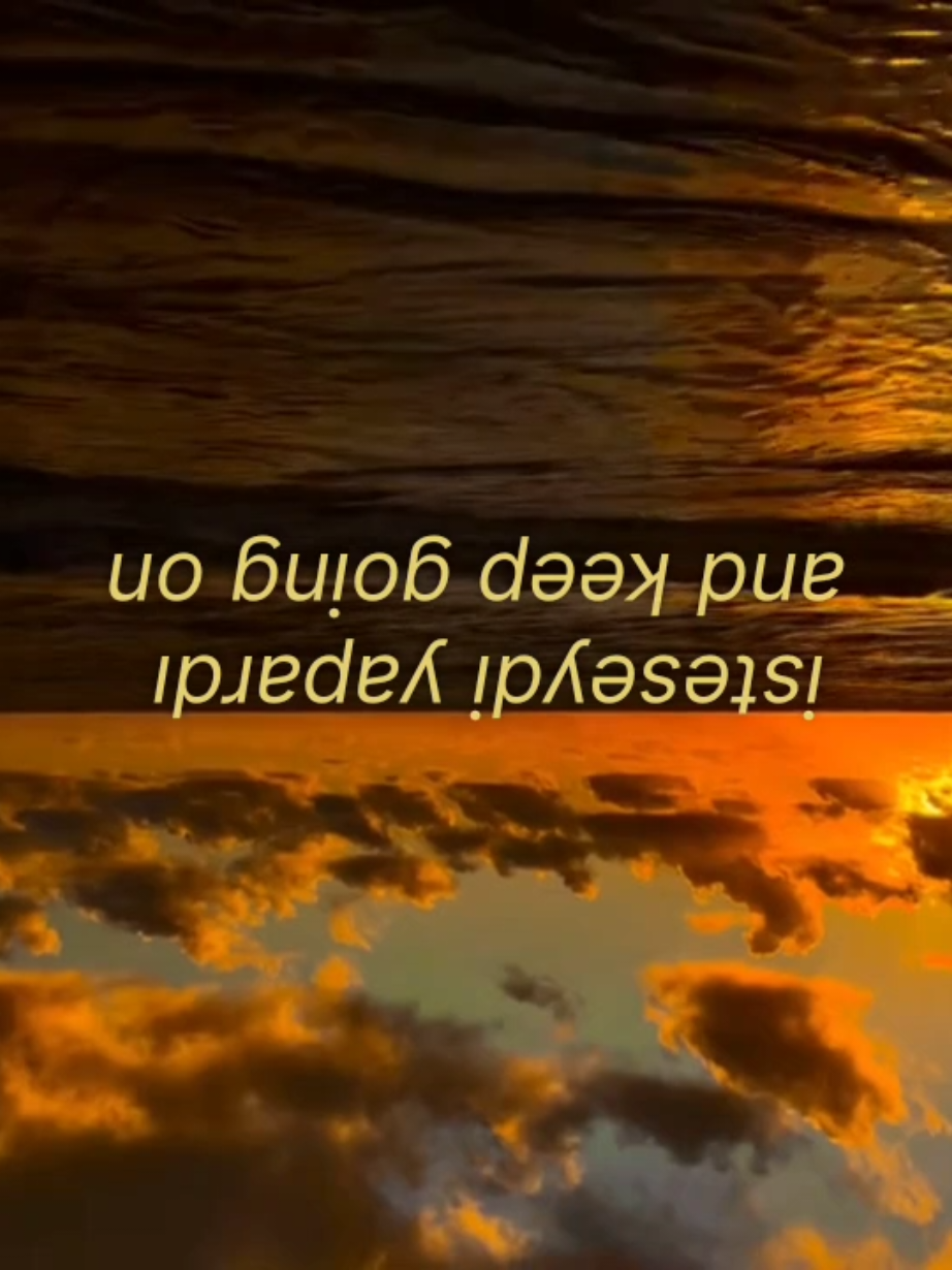 @🐚