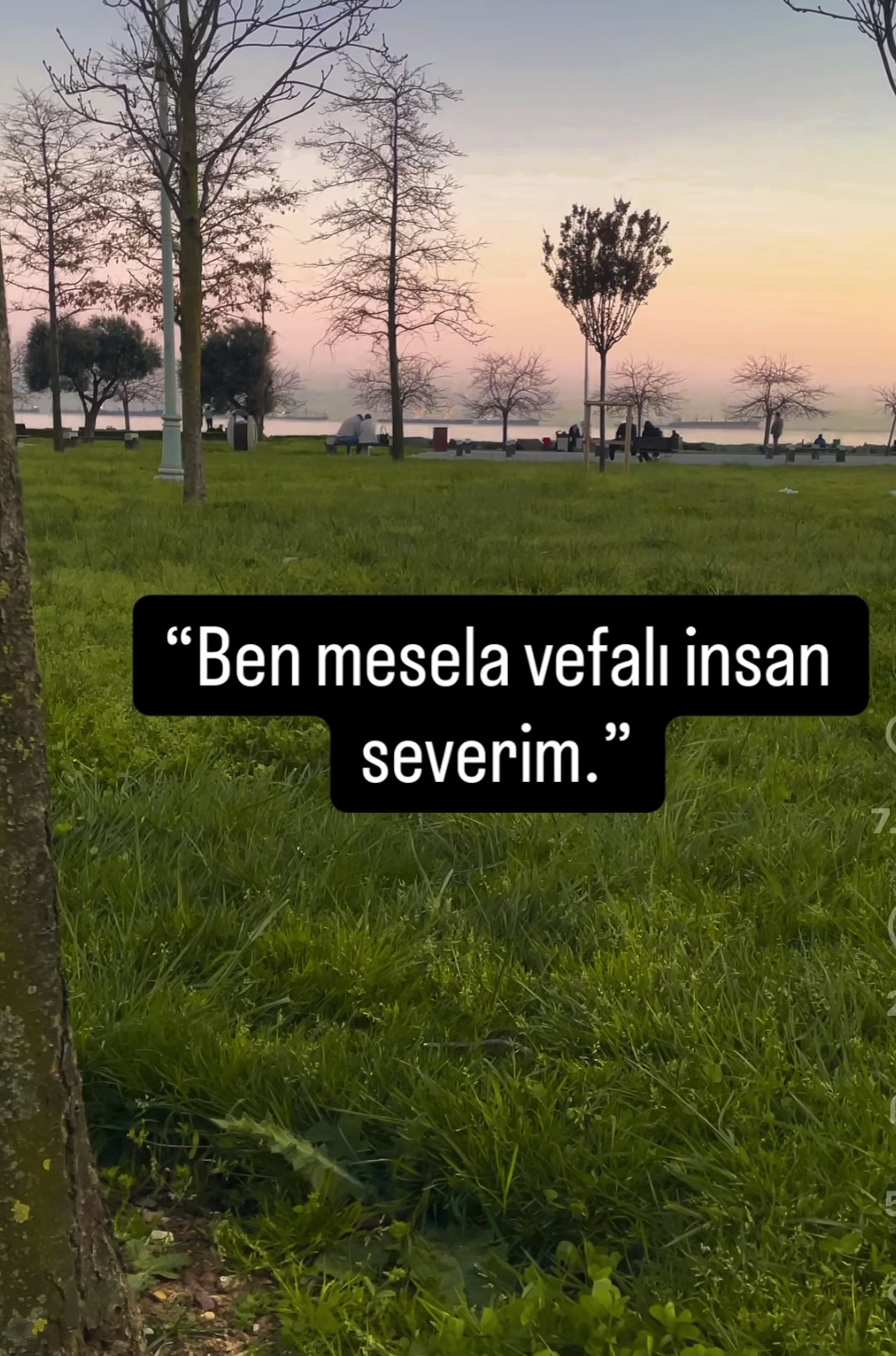 @R&uuml;ya***