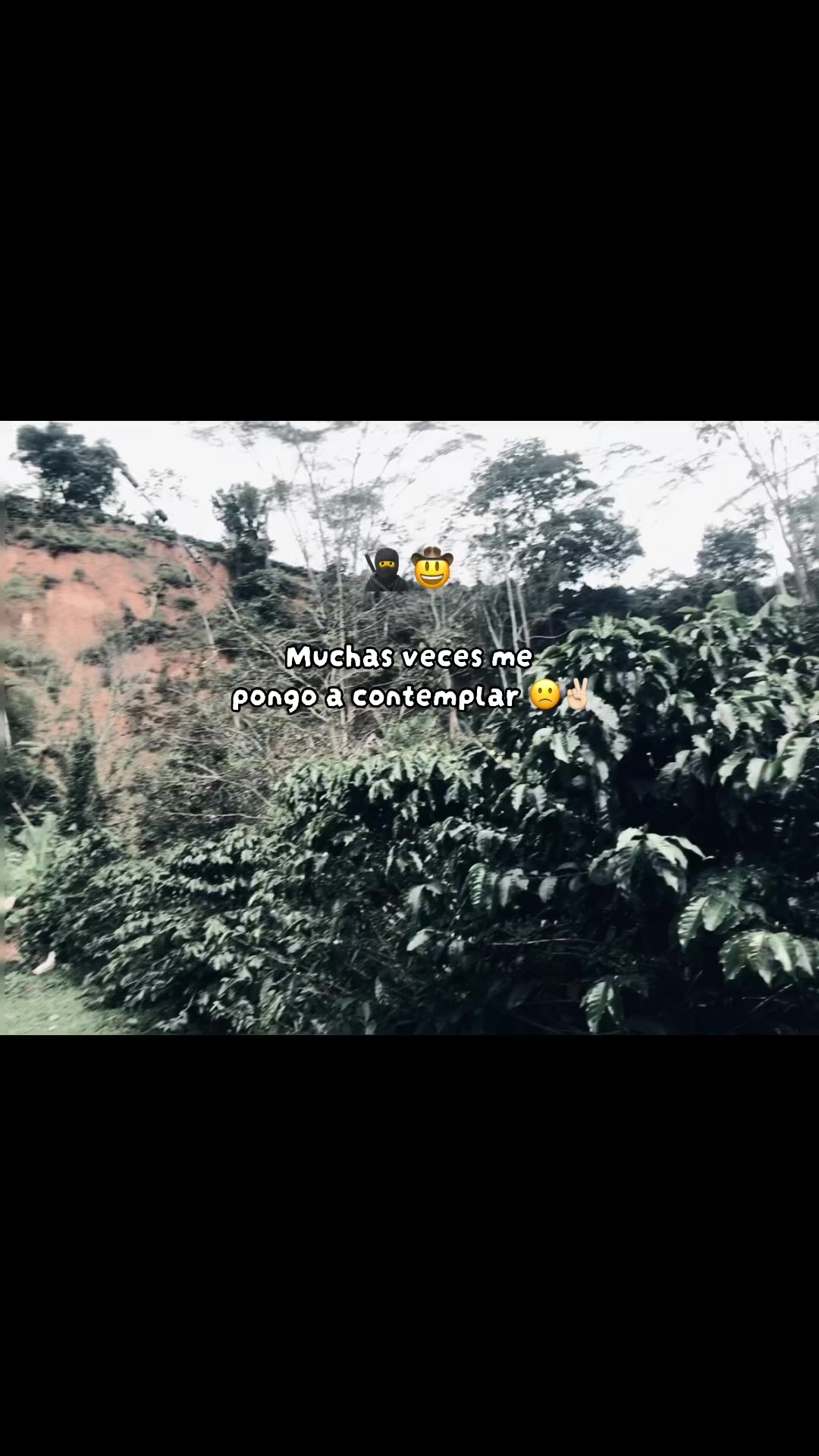 @Villa_00