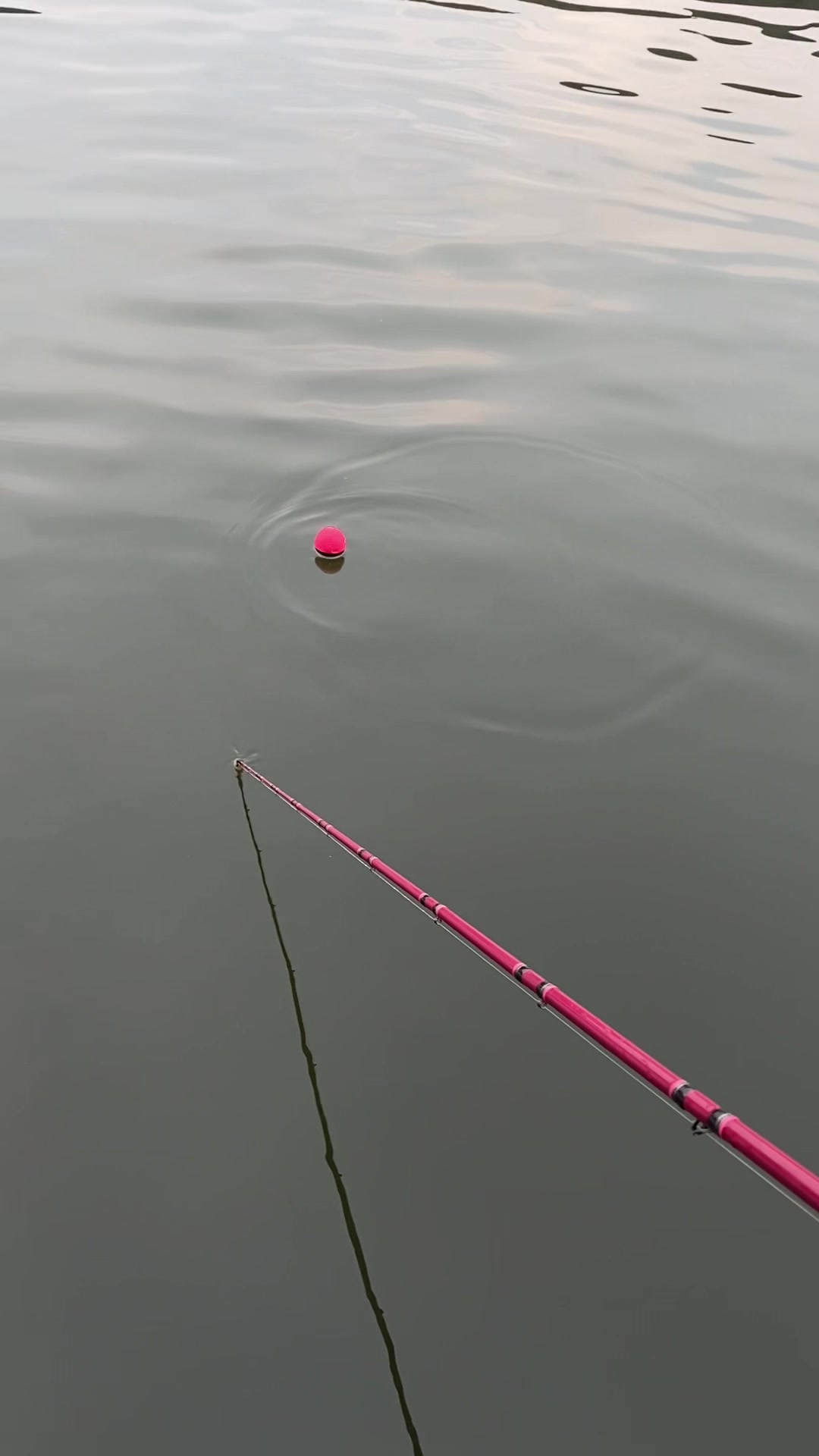 @BINZZFISHING
