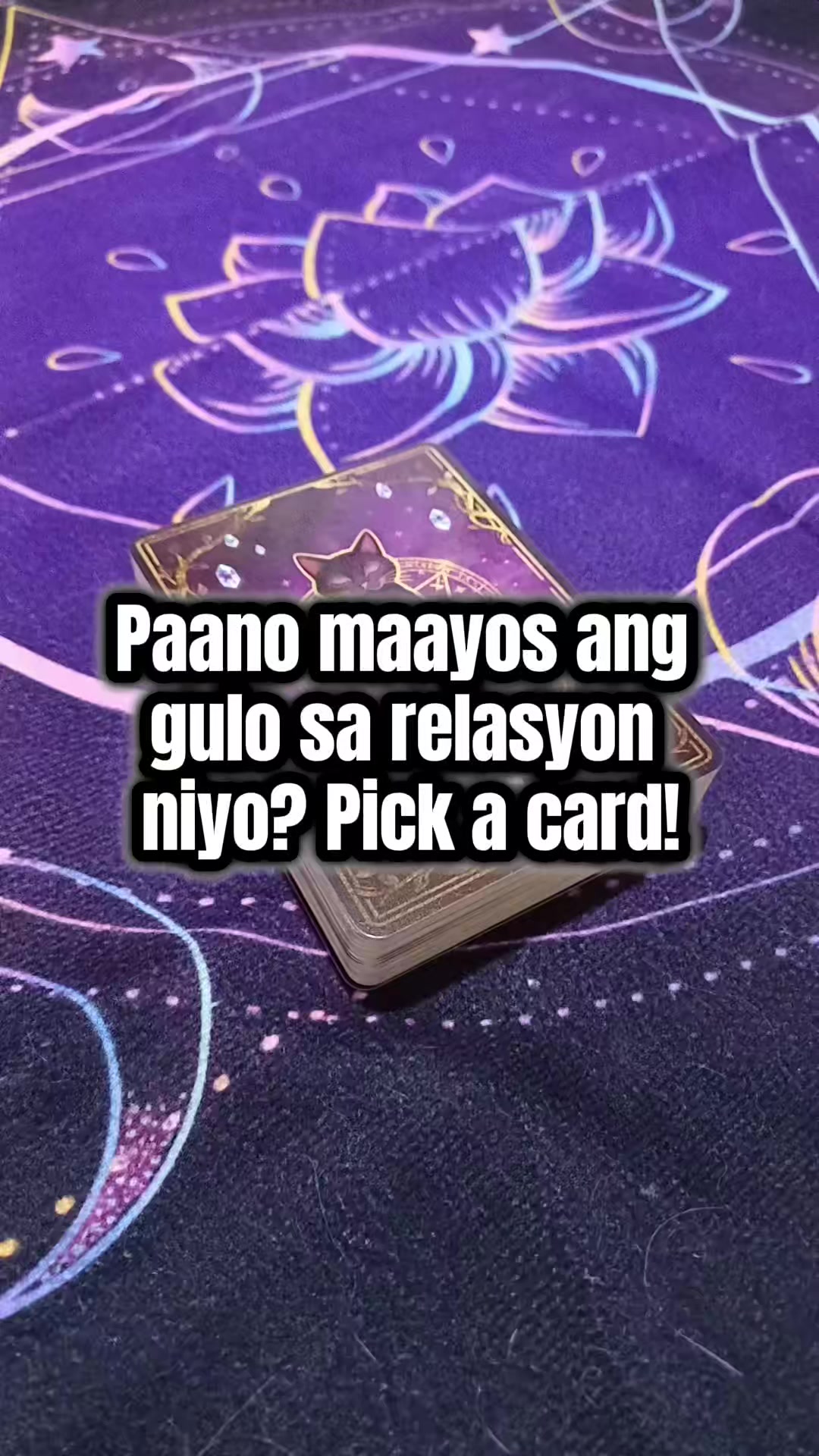 @Marie Tarot Reader