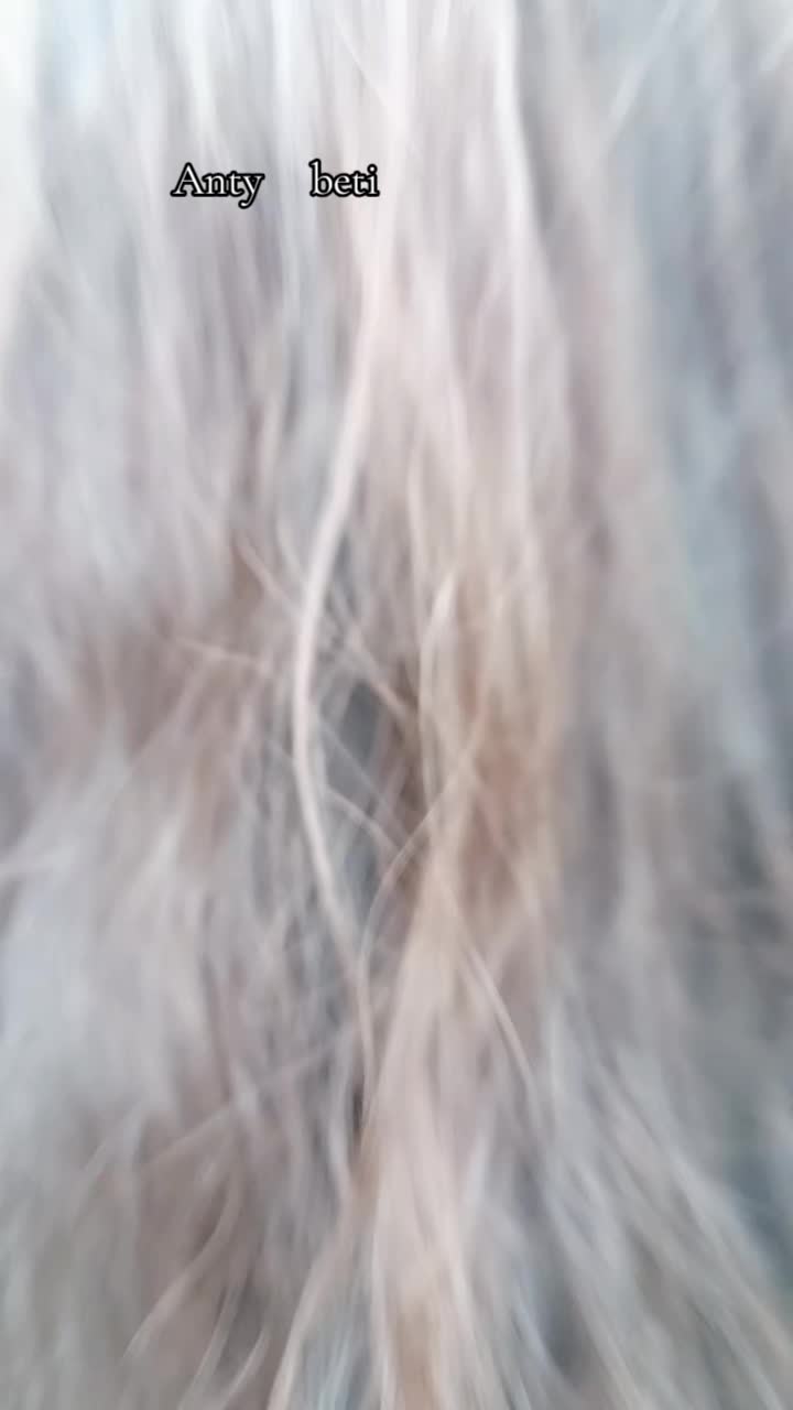 @shreeya Bishwokarma