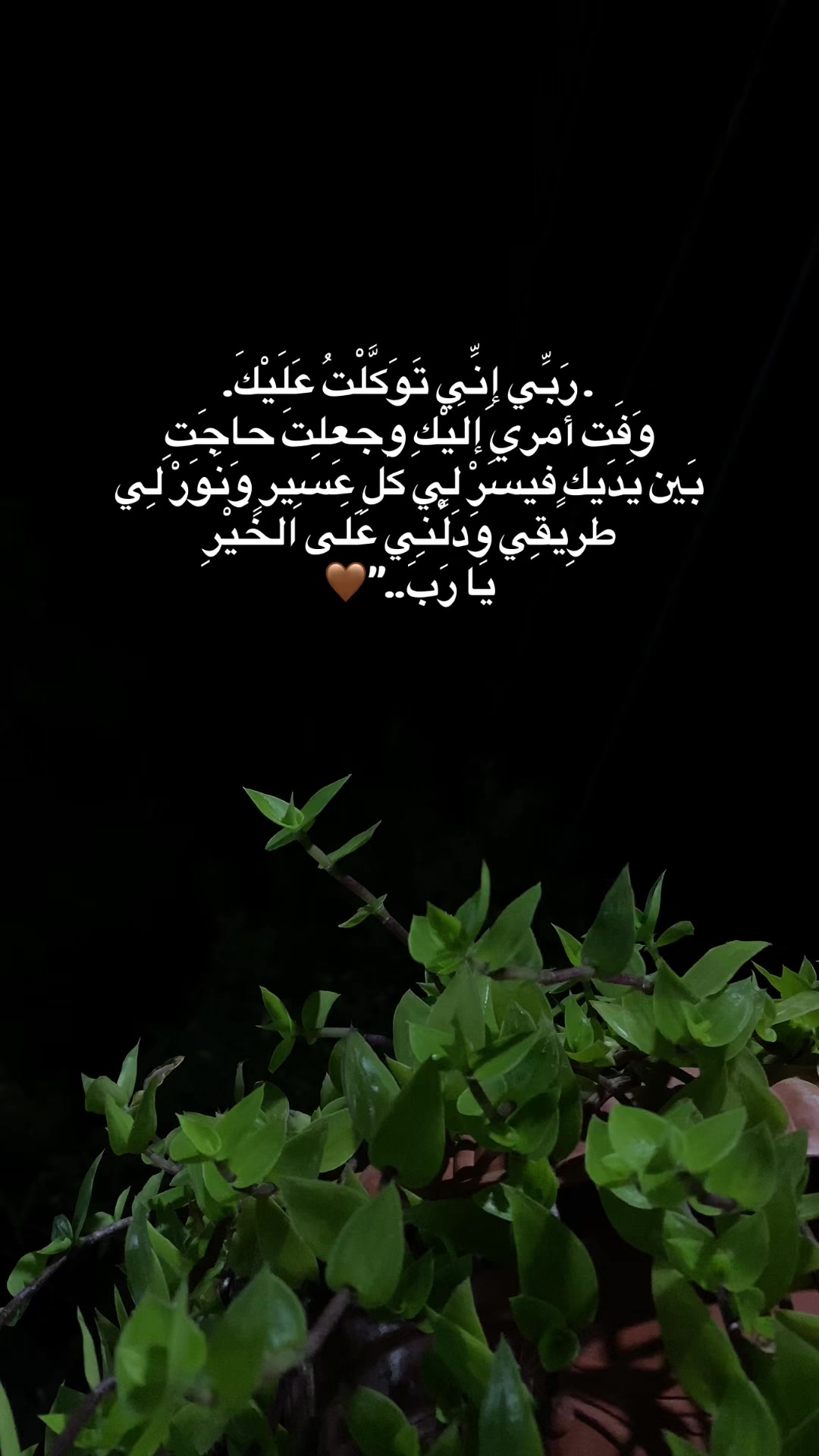 @♡ 