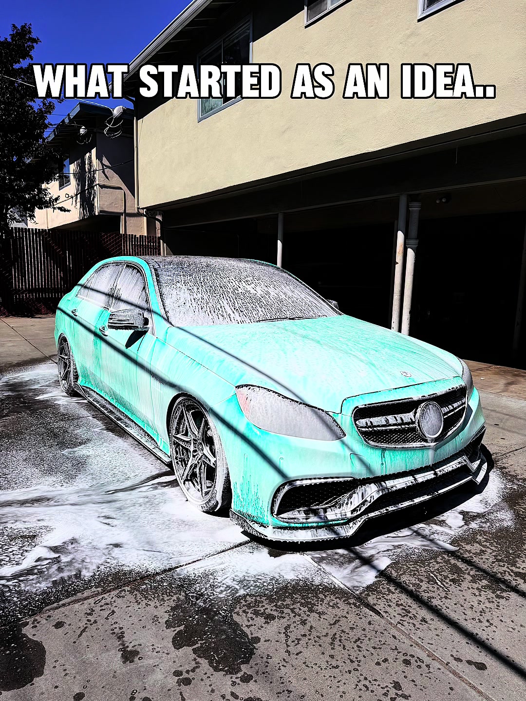 @Apex Auto Spa🦈