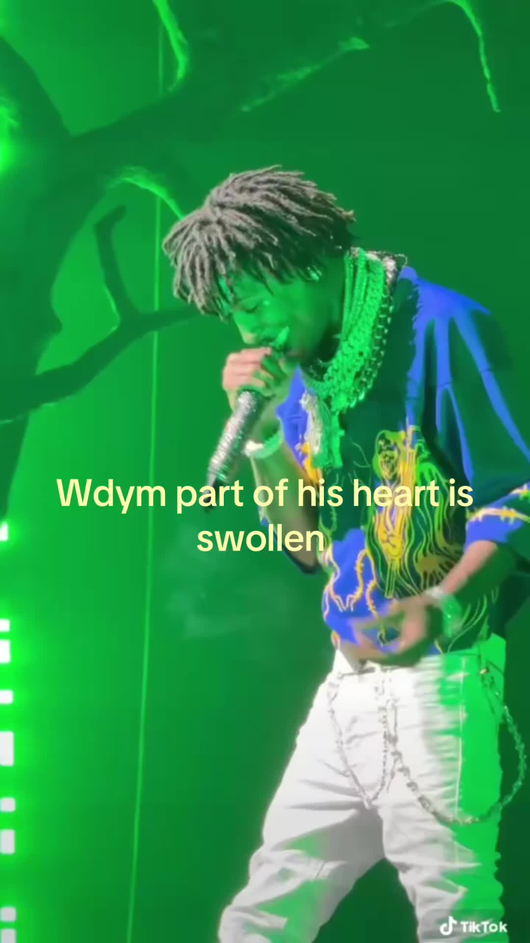 @🐅🐆