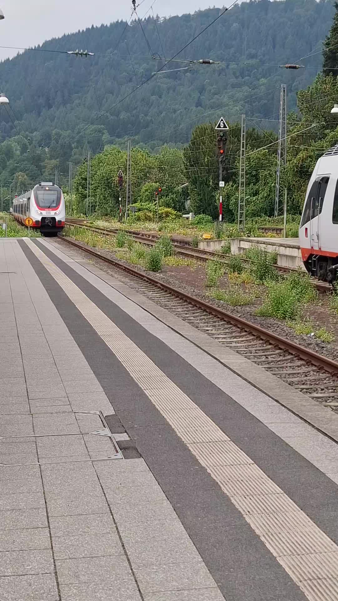 @Trainspotterin2026