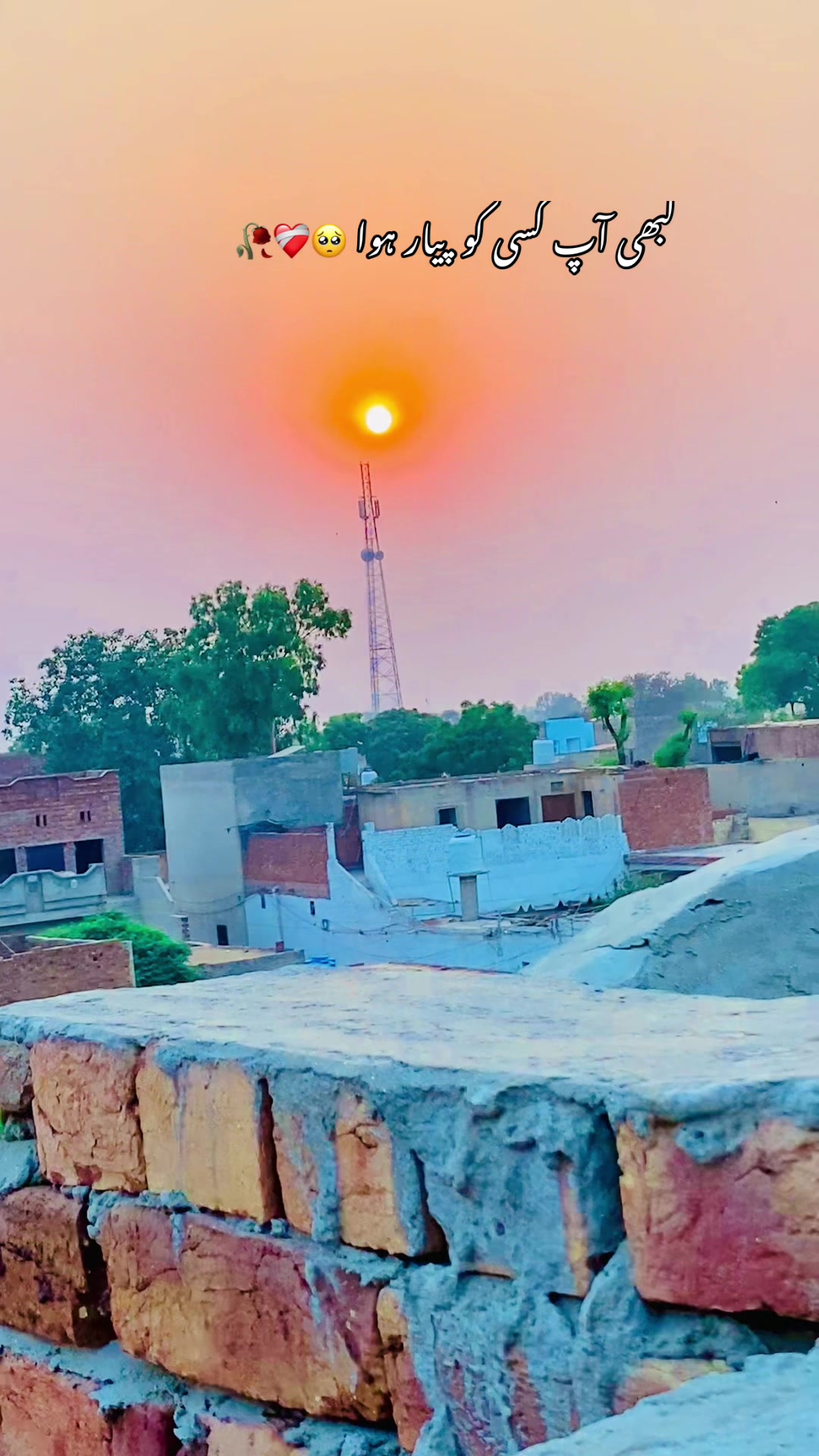 @🥀🌾 پنجابی کلچر 🥀🌾