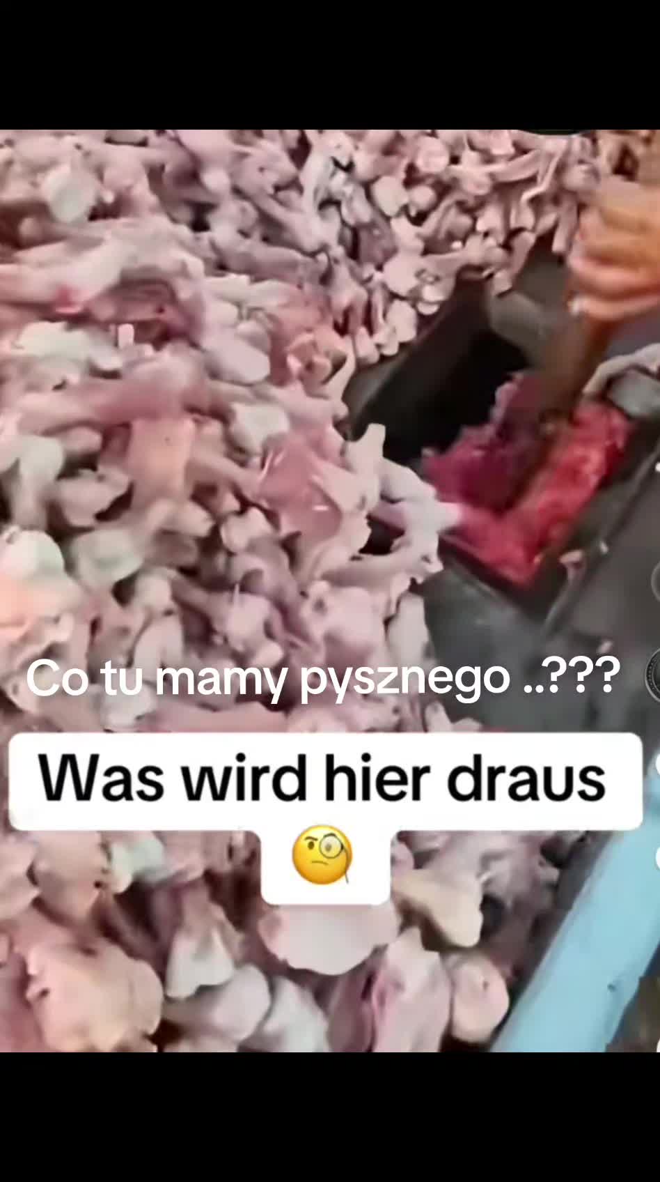 @SieWie