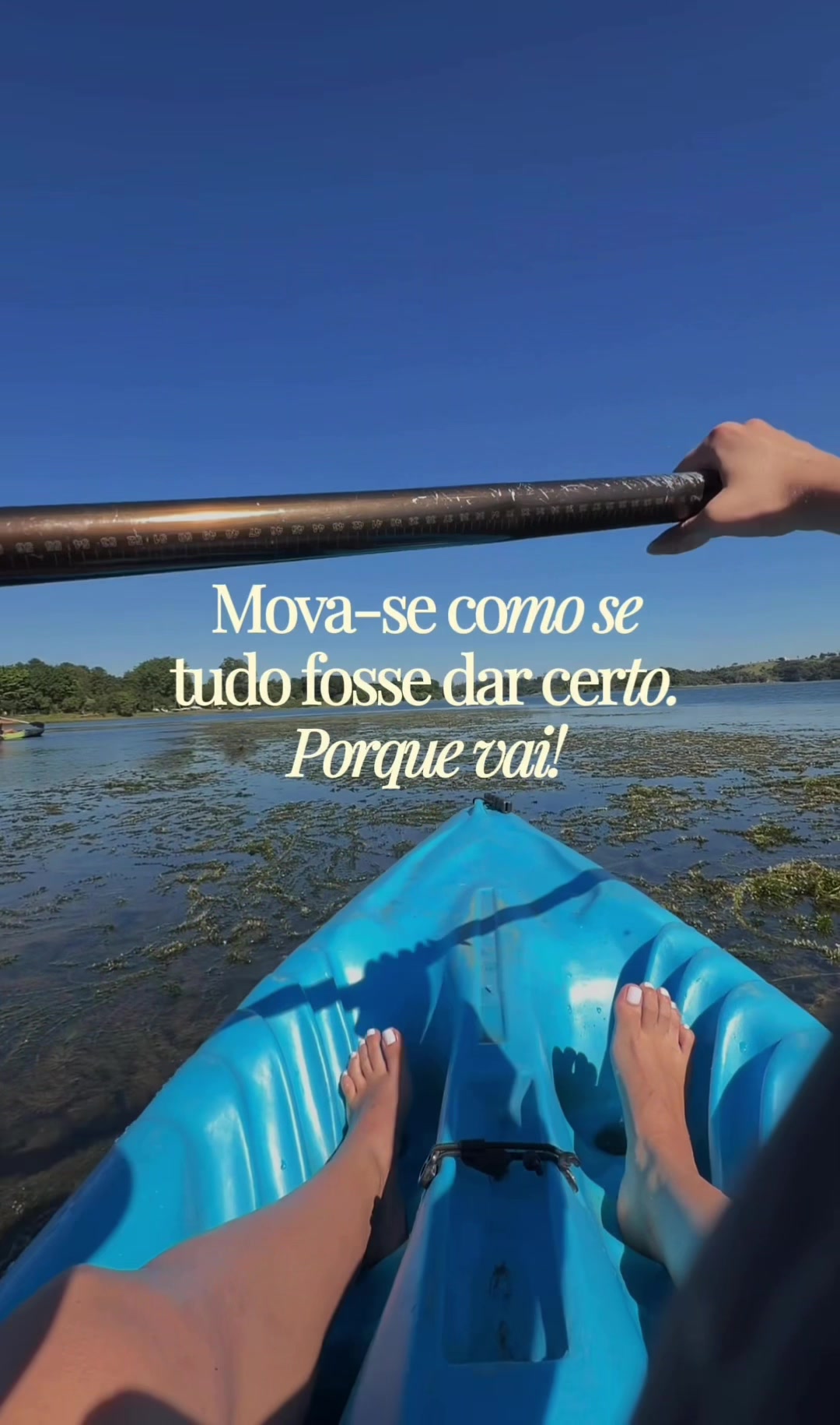 @Beatriz Toledo