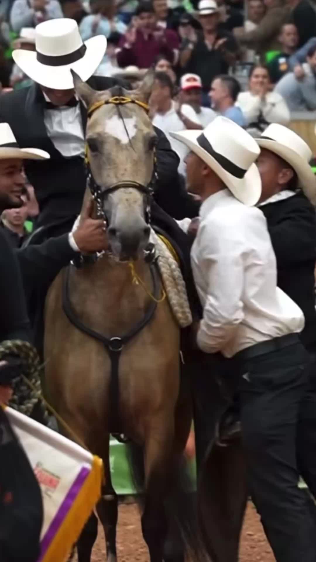 @mundo_equino04
