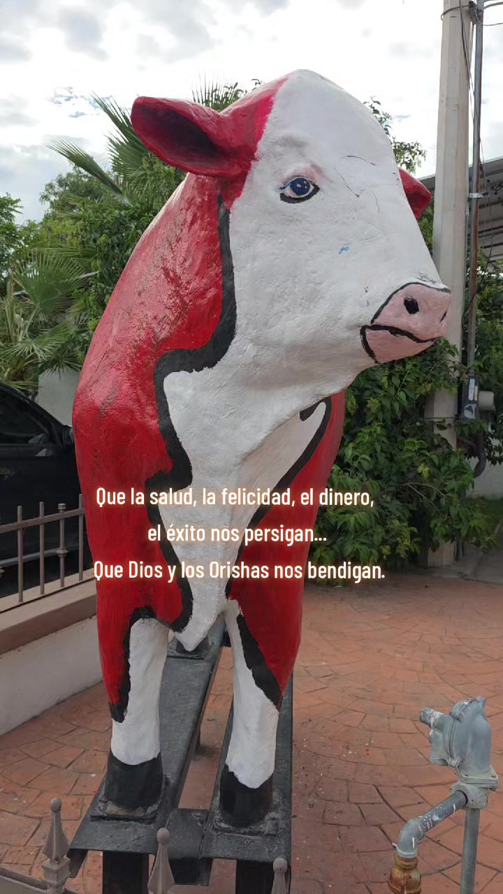 @LoReT• Te Sigue