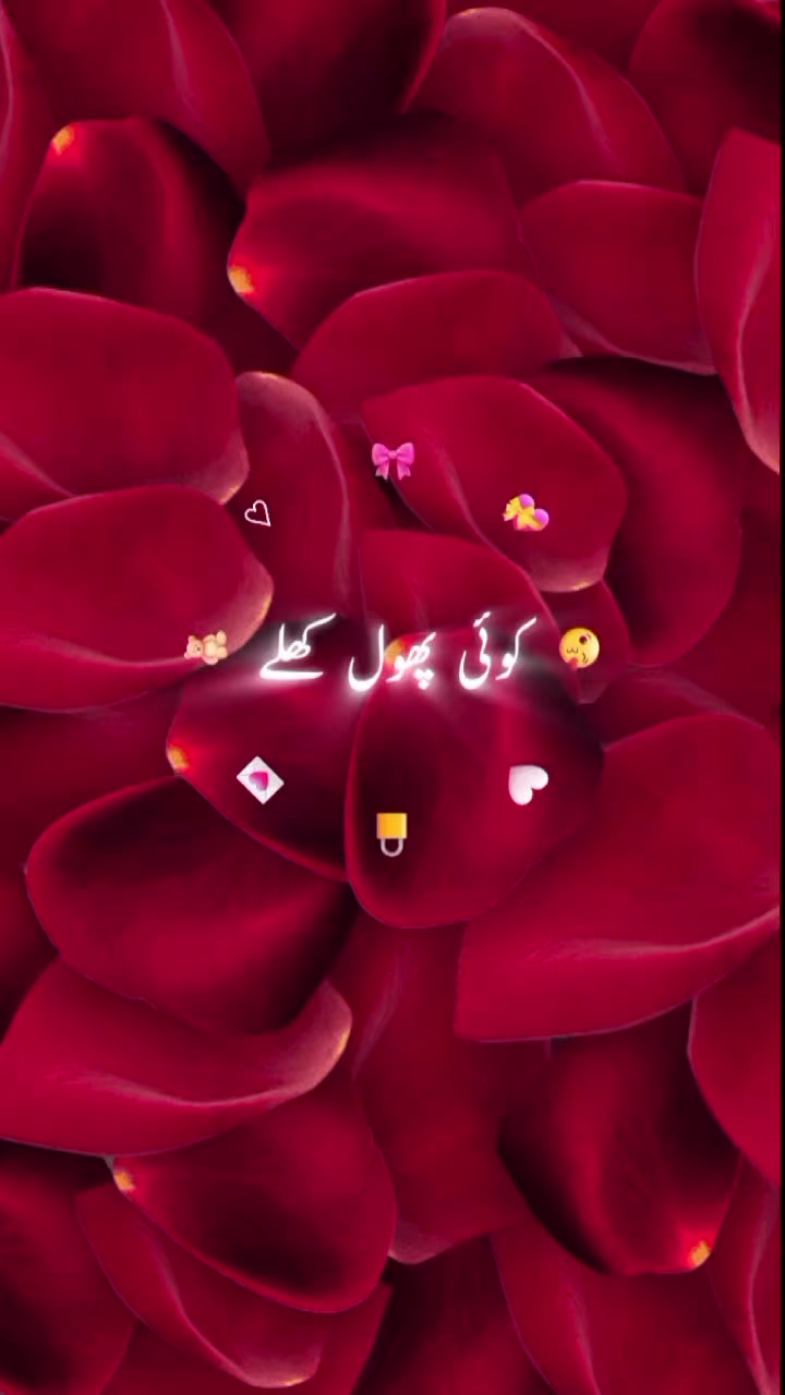 @hadi