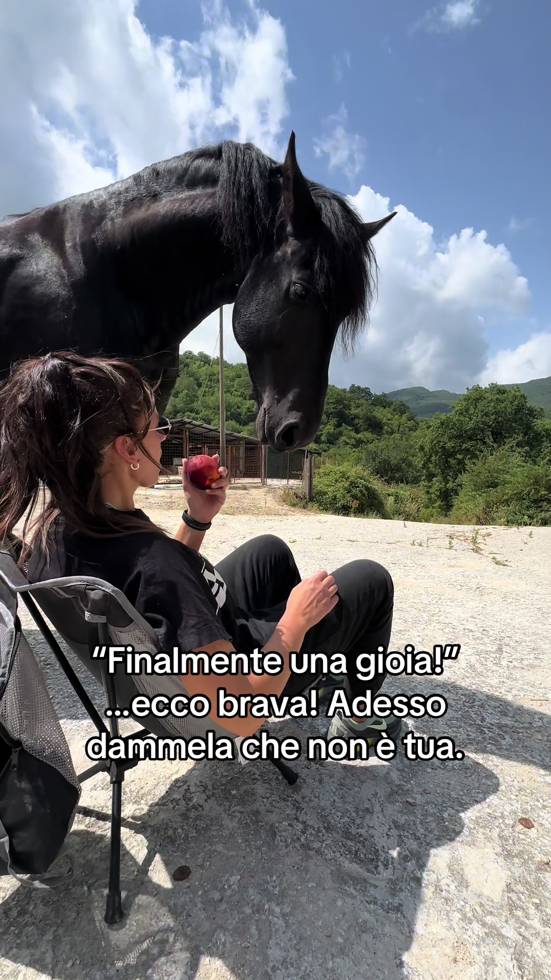 @black_the_friesian