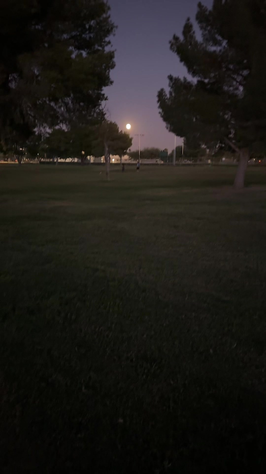 @doraneri6
