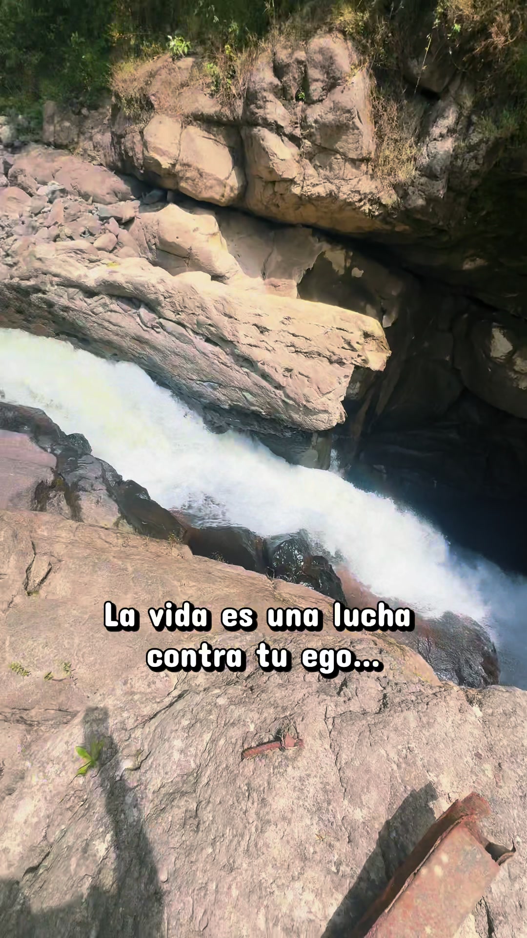 @Angel C