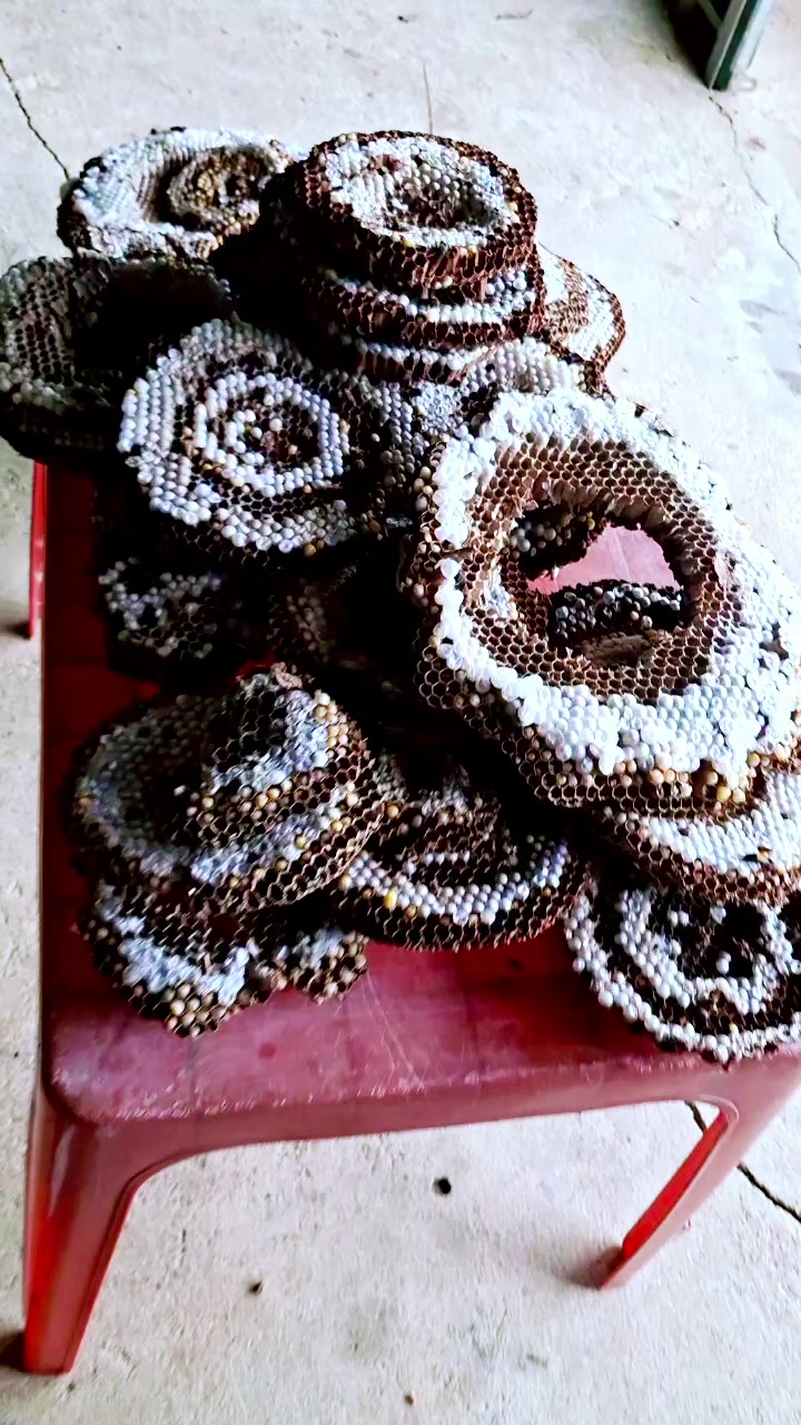 @Kết Nối Đam Mê Ong