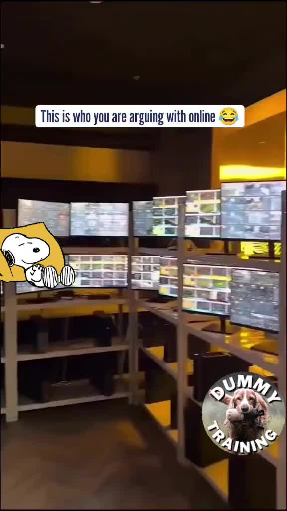 @Run Tell Joe