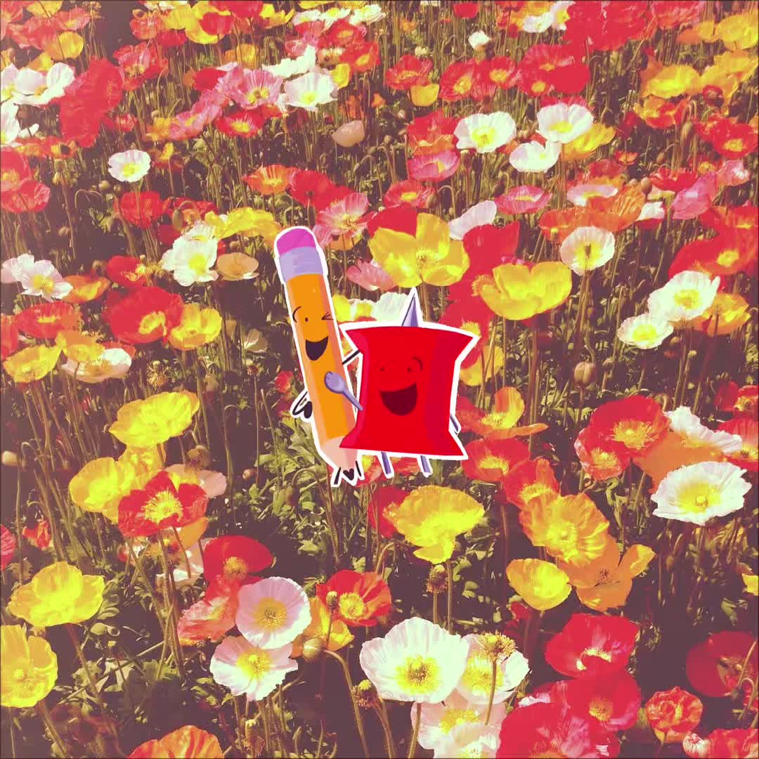 @⏝ི ✿      𝗠͟𝗶𝗼     𓈒