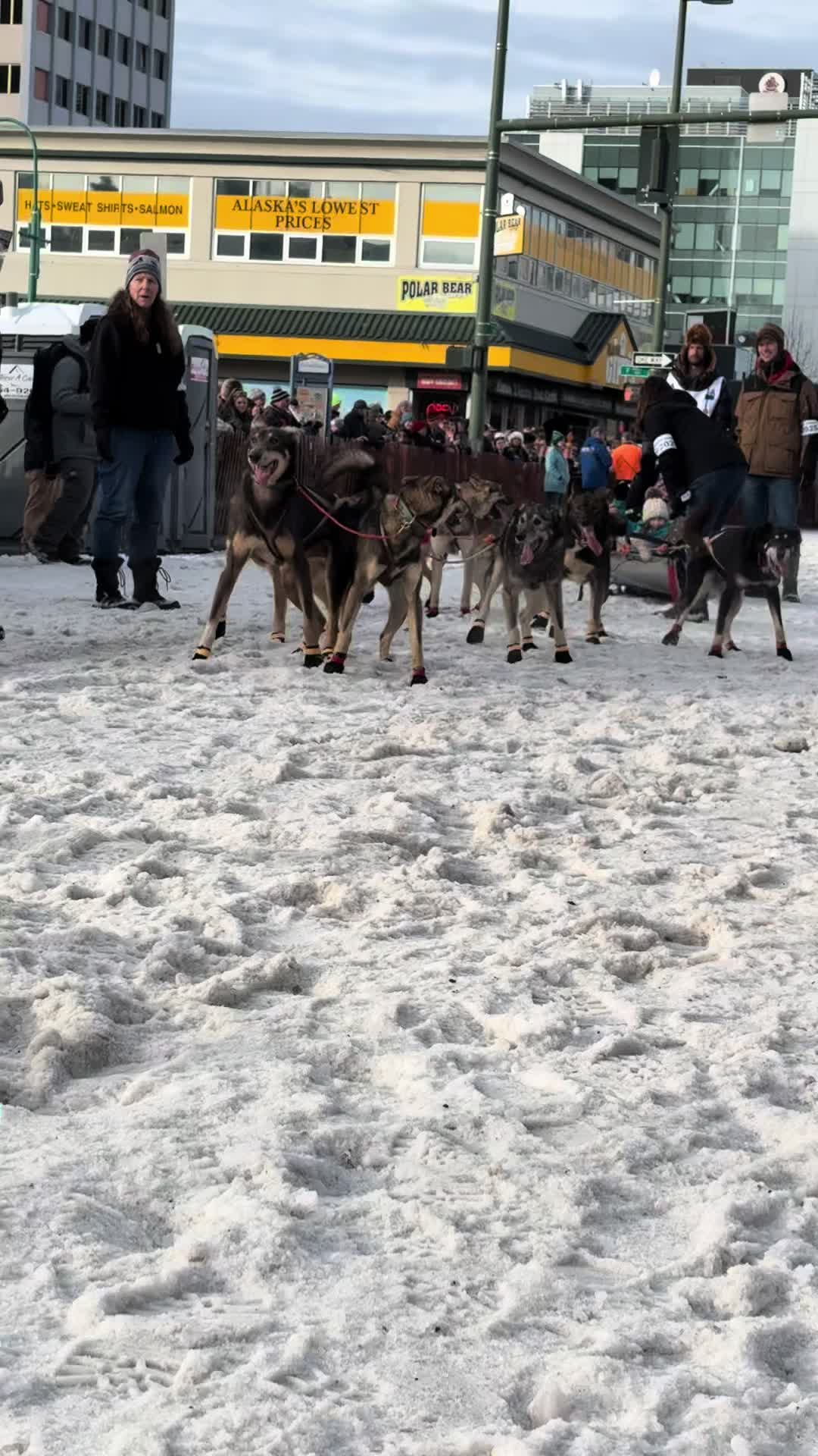 @Iditarod Edu