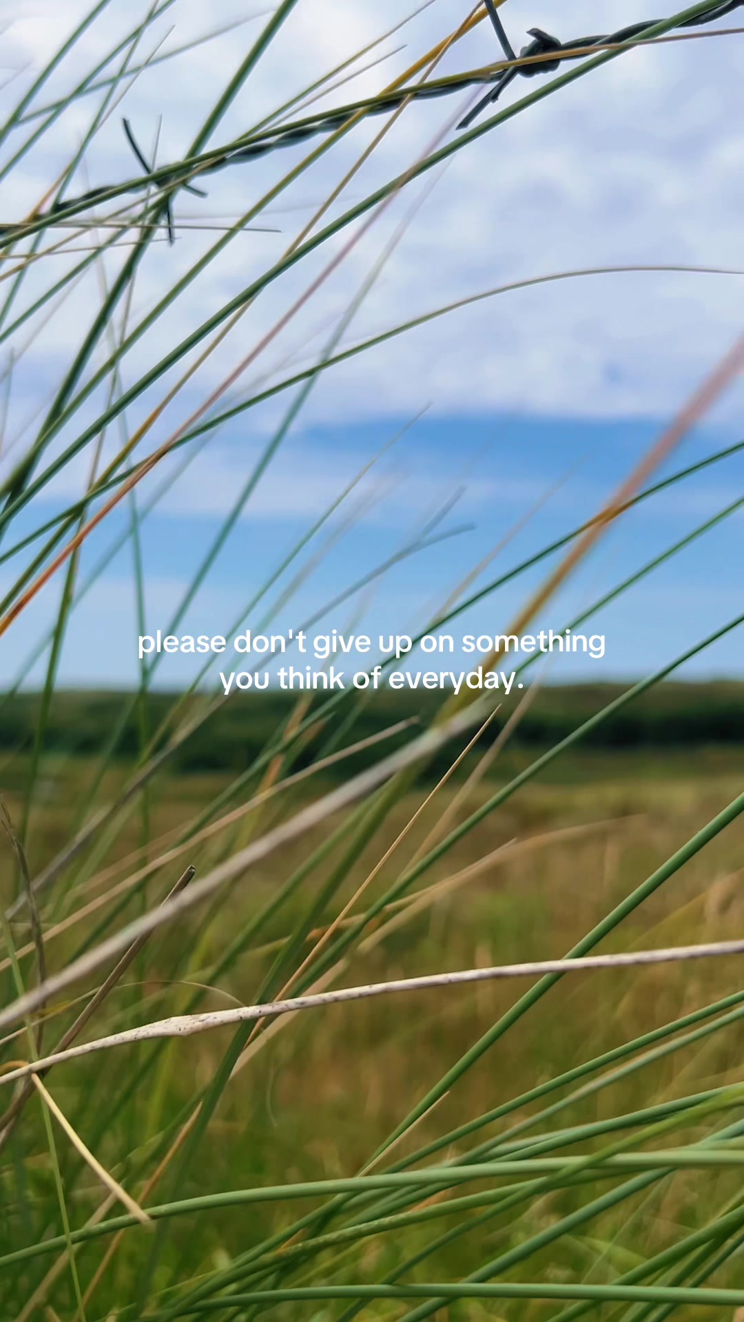 @Inspiredbynature🌿