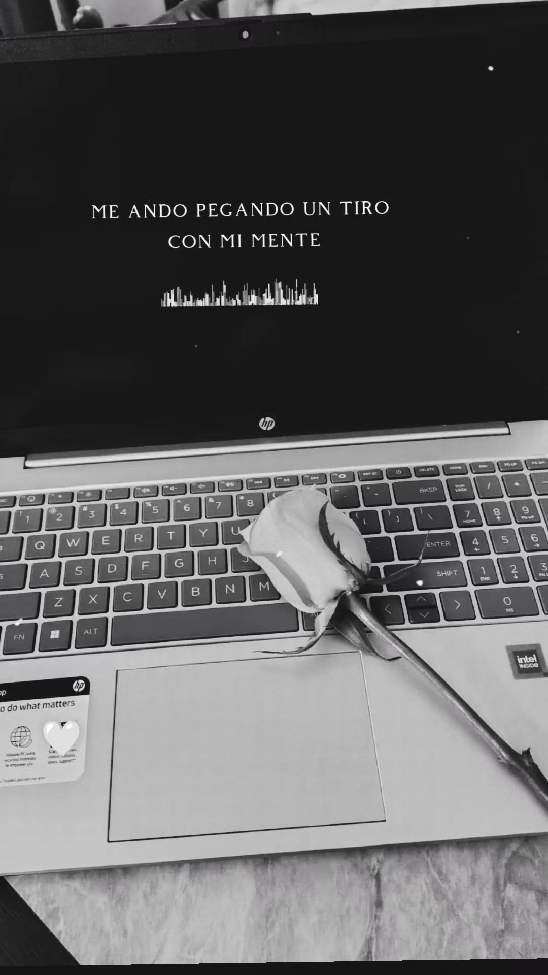 @vecky