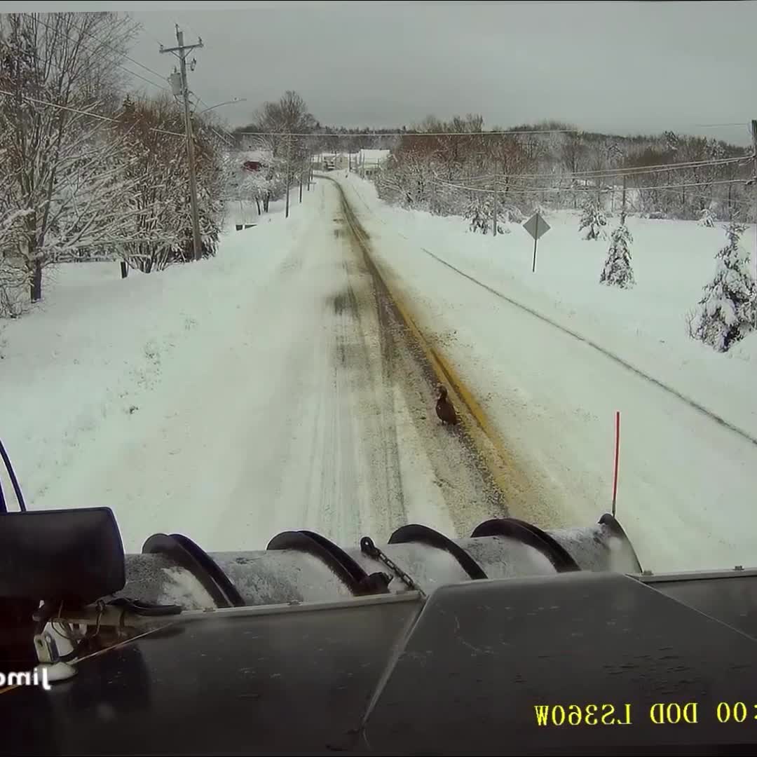 @Snow Plowing