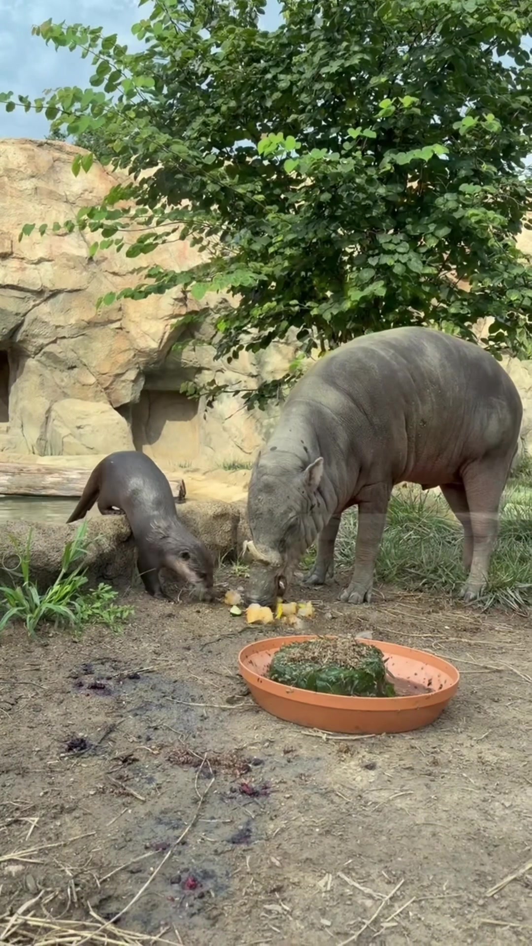 @Cincinnati Zoo