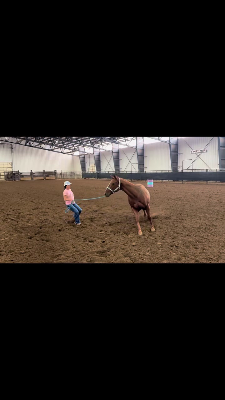 @Smoke Show Rodeo