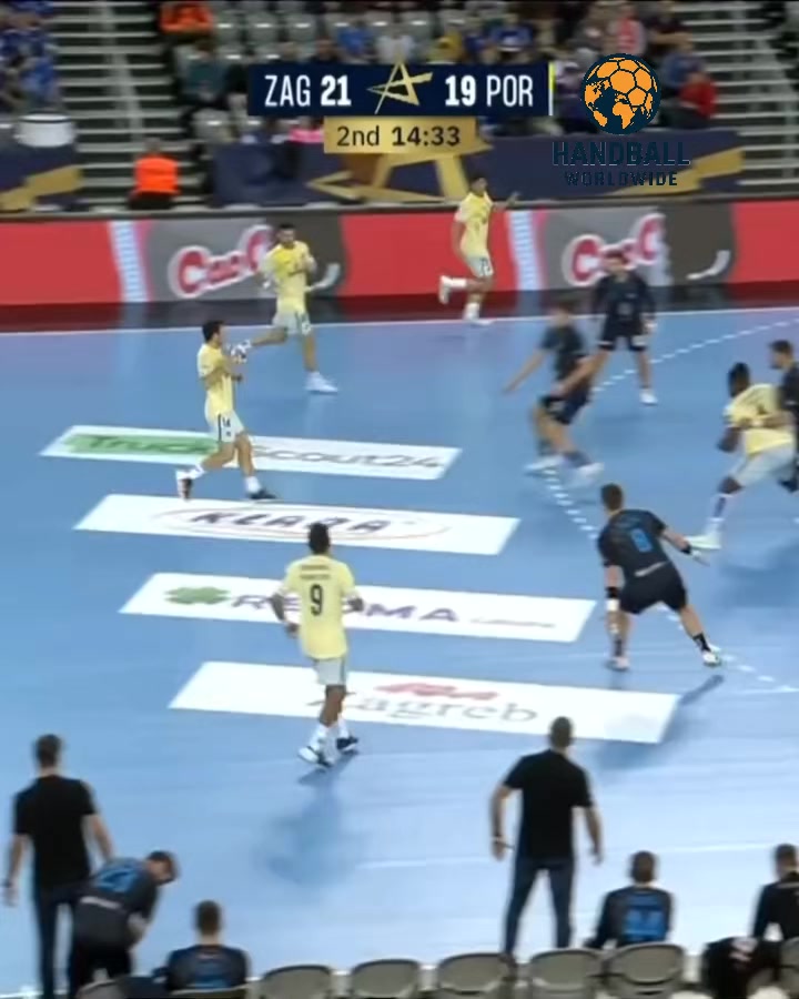 @Handball WorldWide 🤾