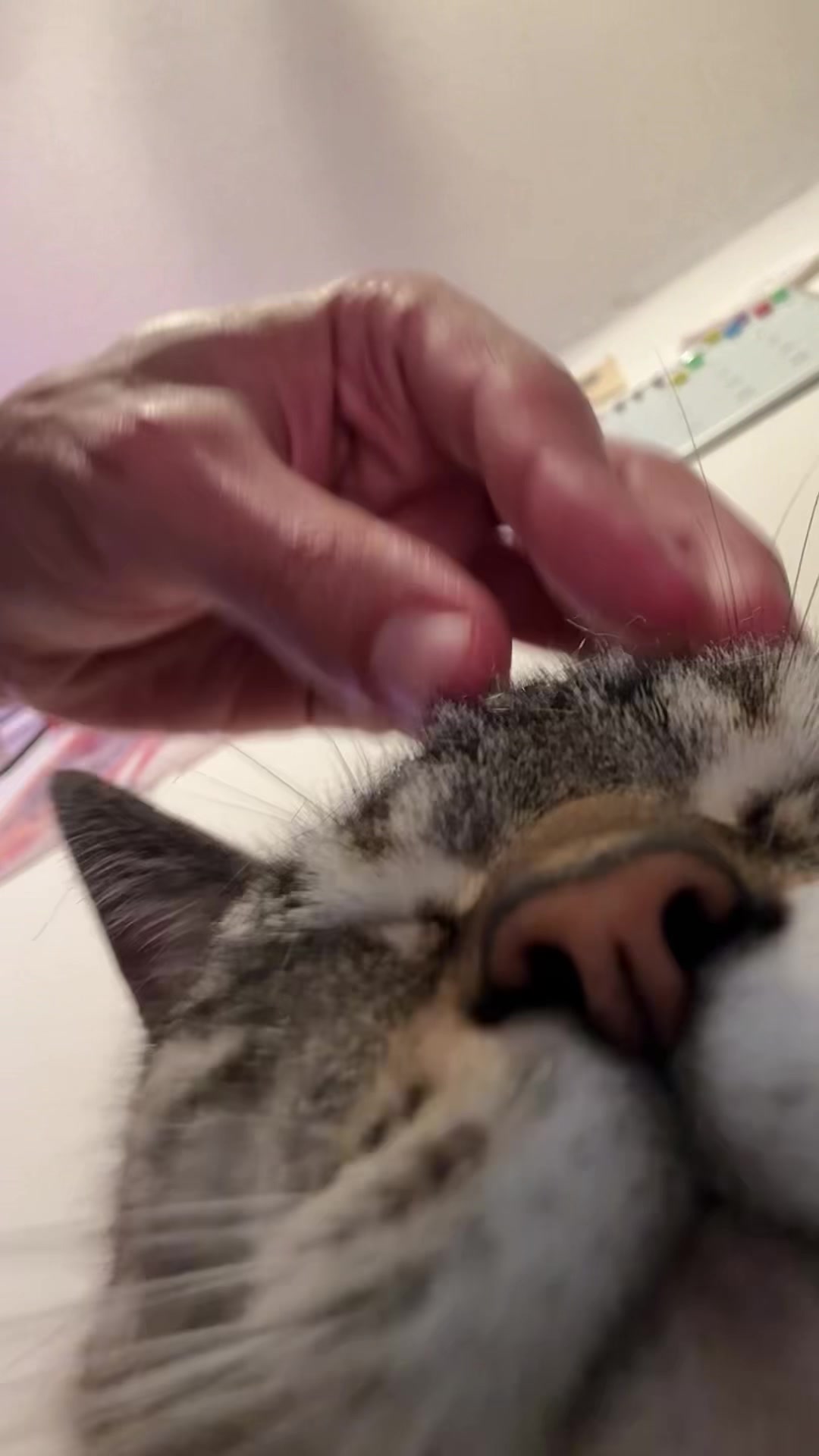 @ꁍꍏꃃꉂ
