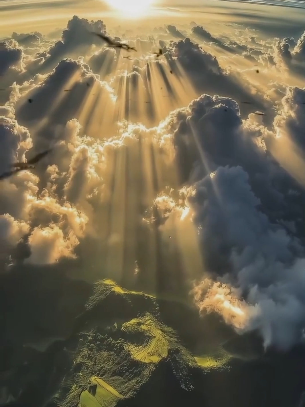 @𝗥𝗼𝗻𝘆𝗮𝗻