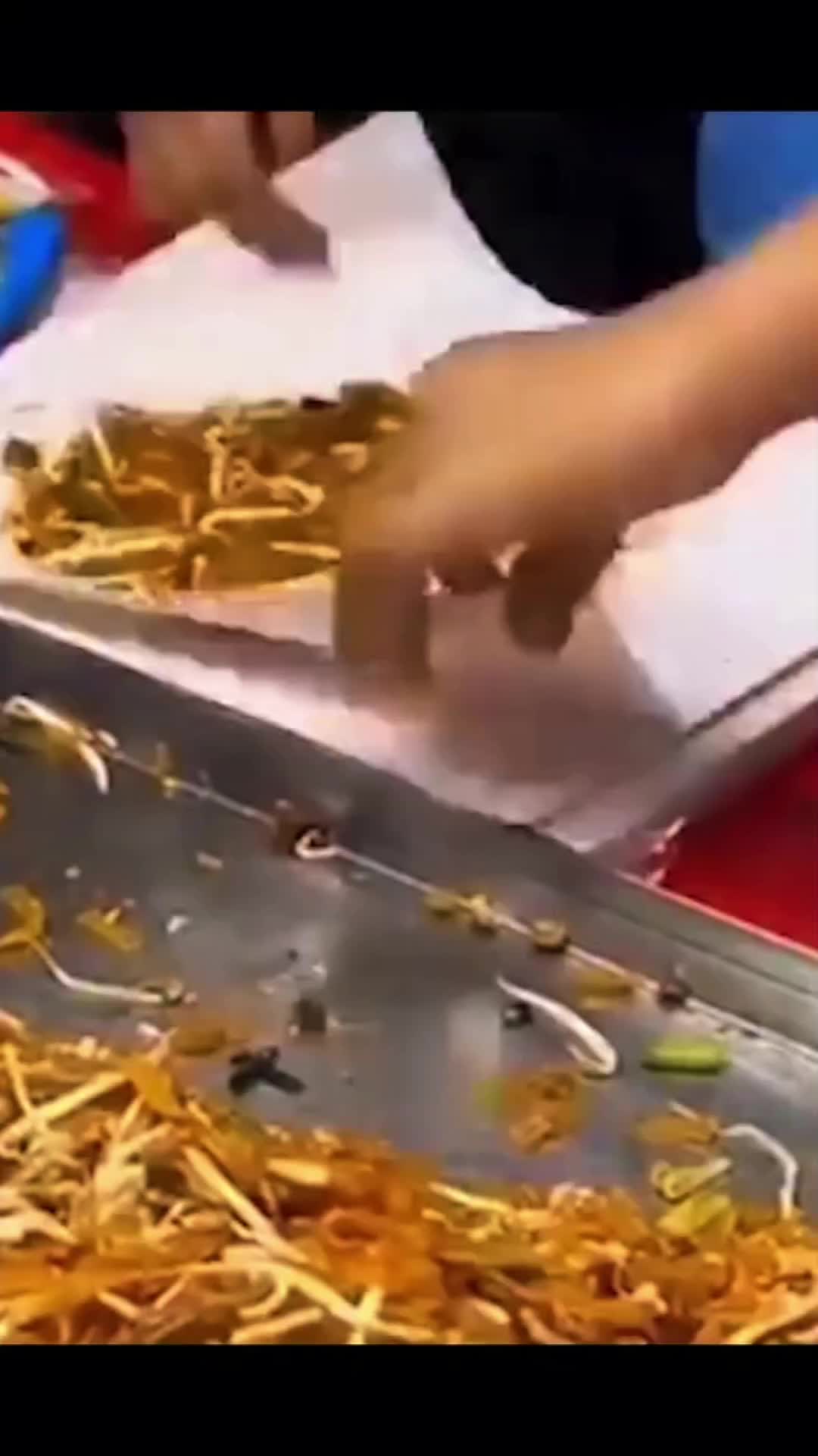 @๐๐๐๐ ๐๐๐๐ ๐จ๐ก