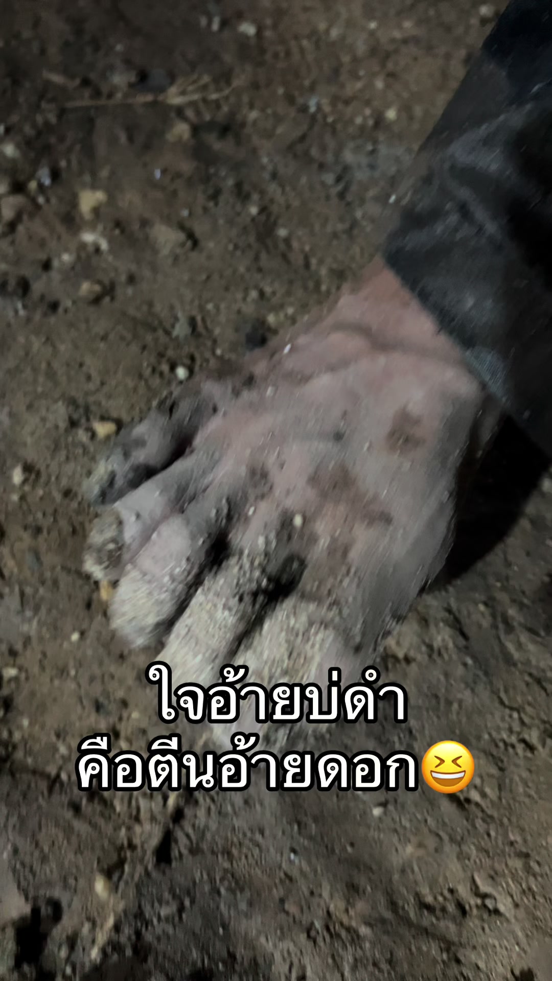 @นี่นายฮ้อยไม่ใช้นายร้อย