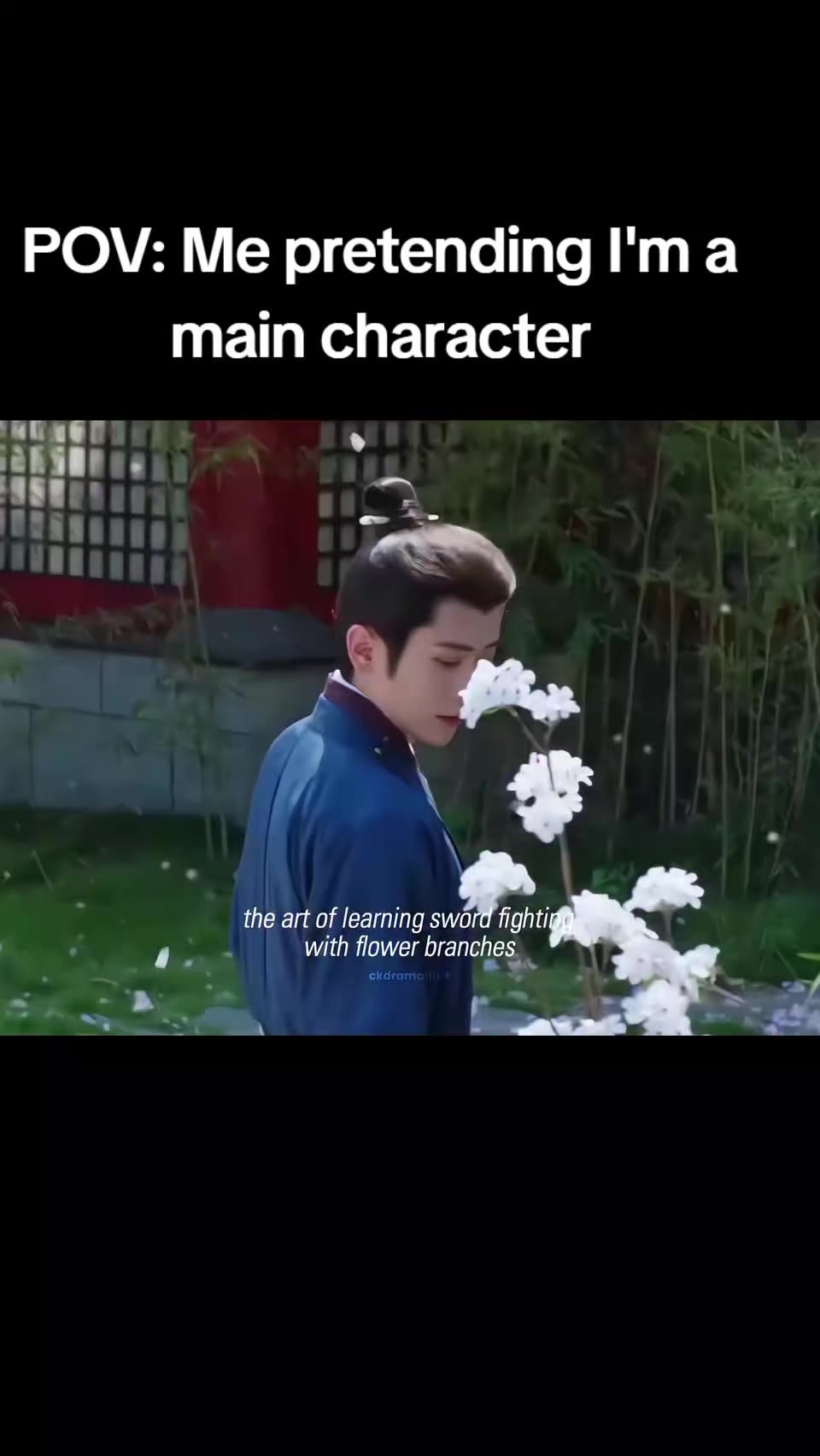 @Bai Song Zhao