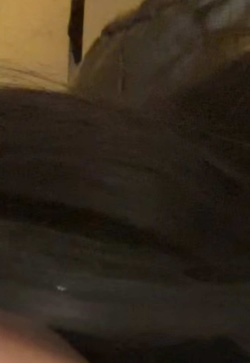 @btw_amy33