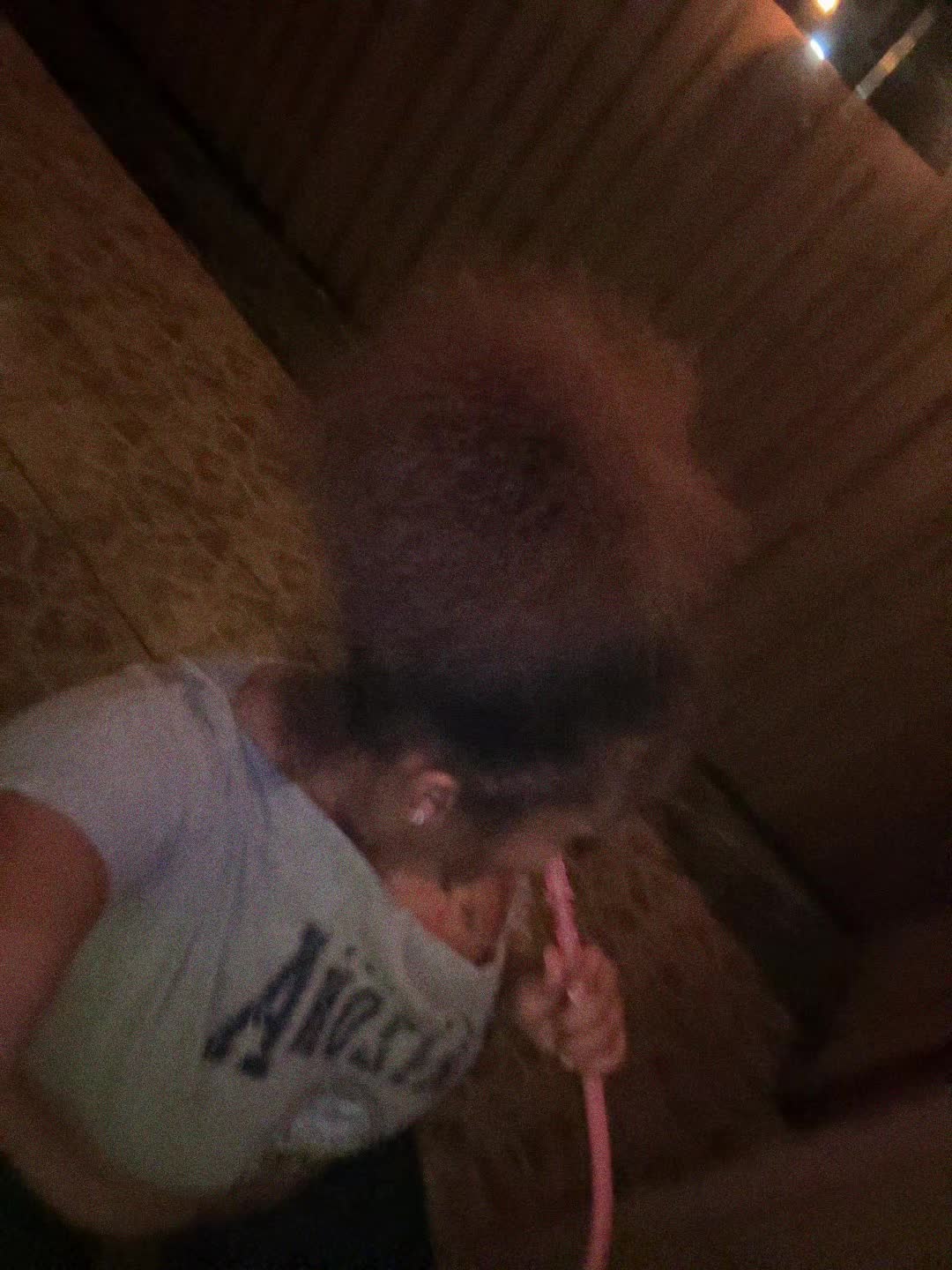 @zariaamourr