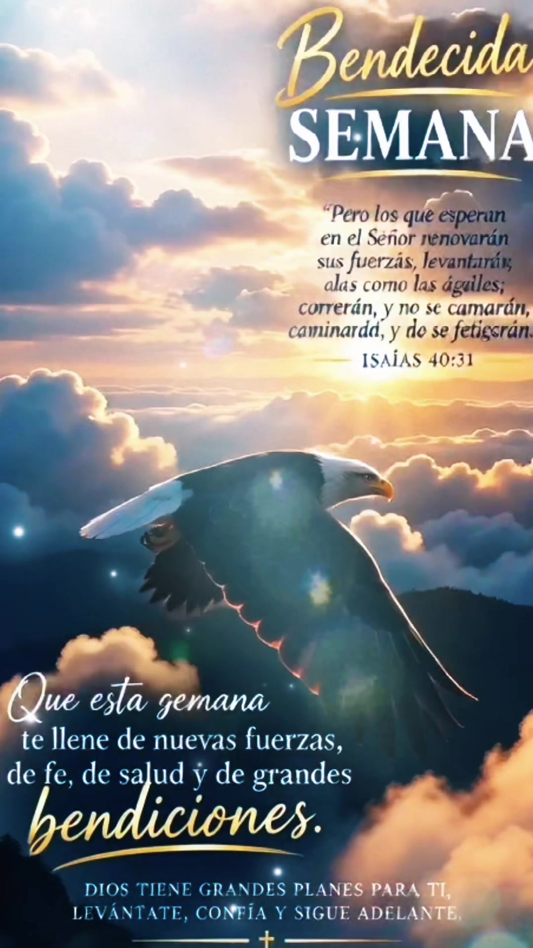 @Rodrigo Hernandez