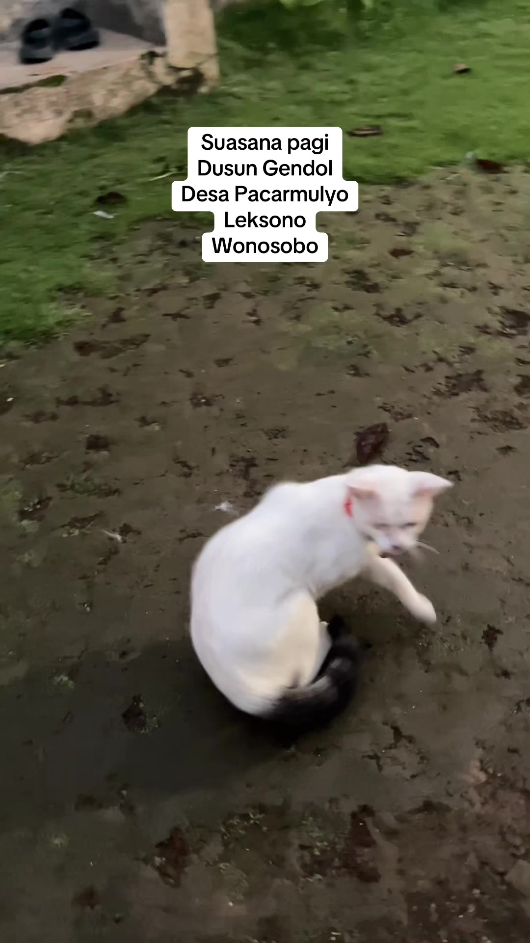 @Sahlan Jalan Jalan