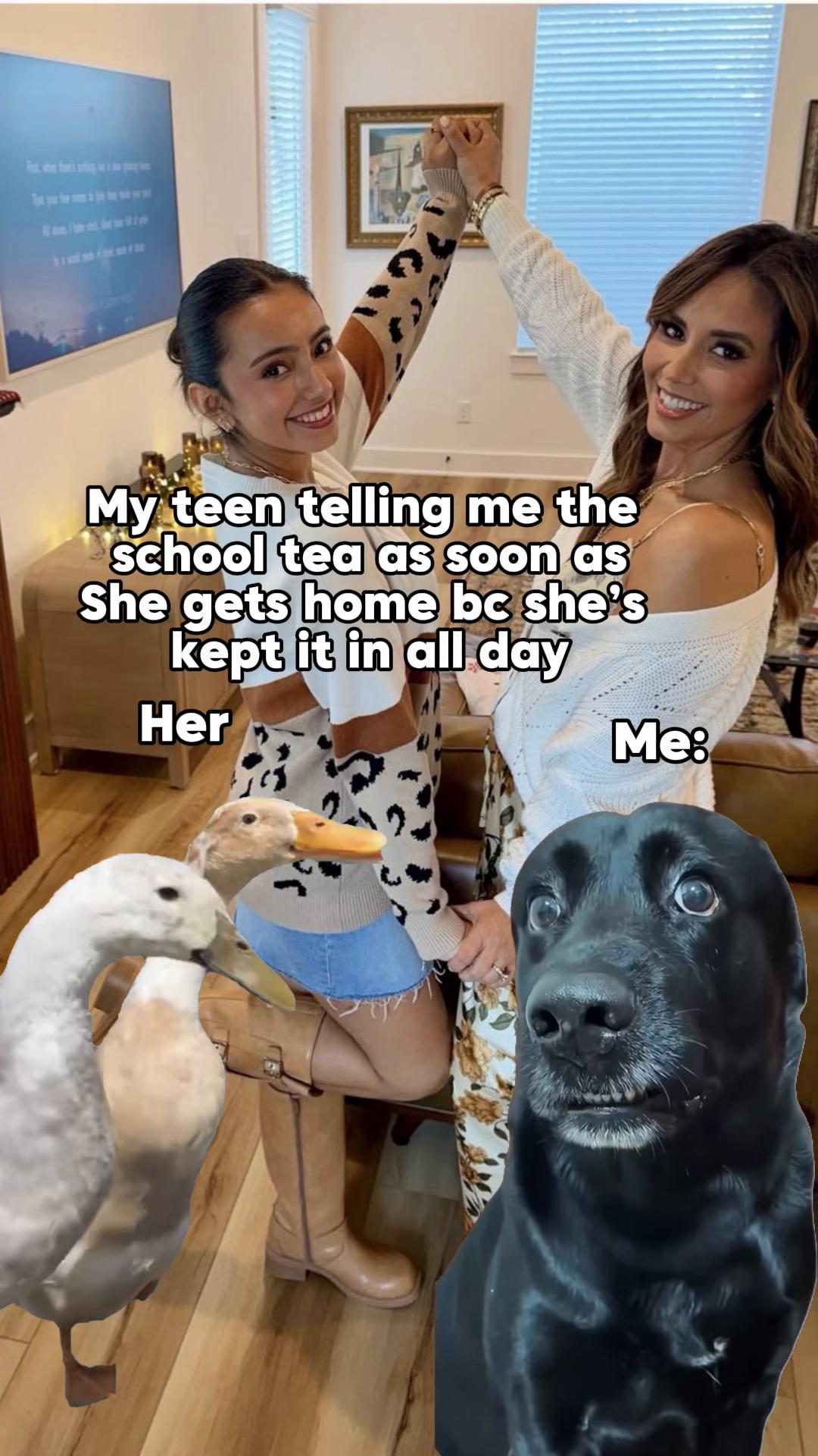 @Dgoozy
