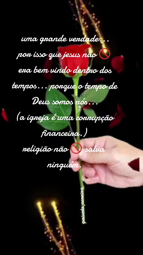 @Gaivota