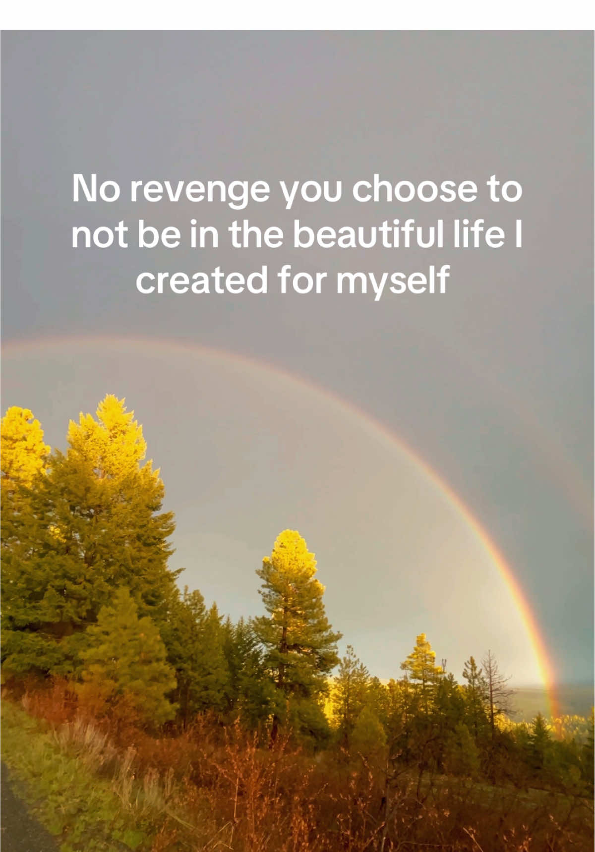 @🌀naturestwisted