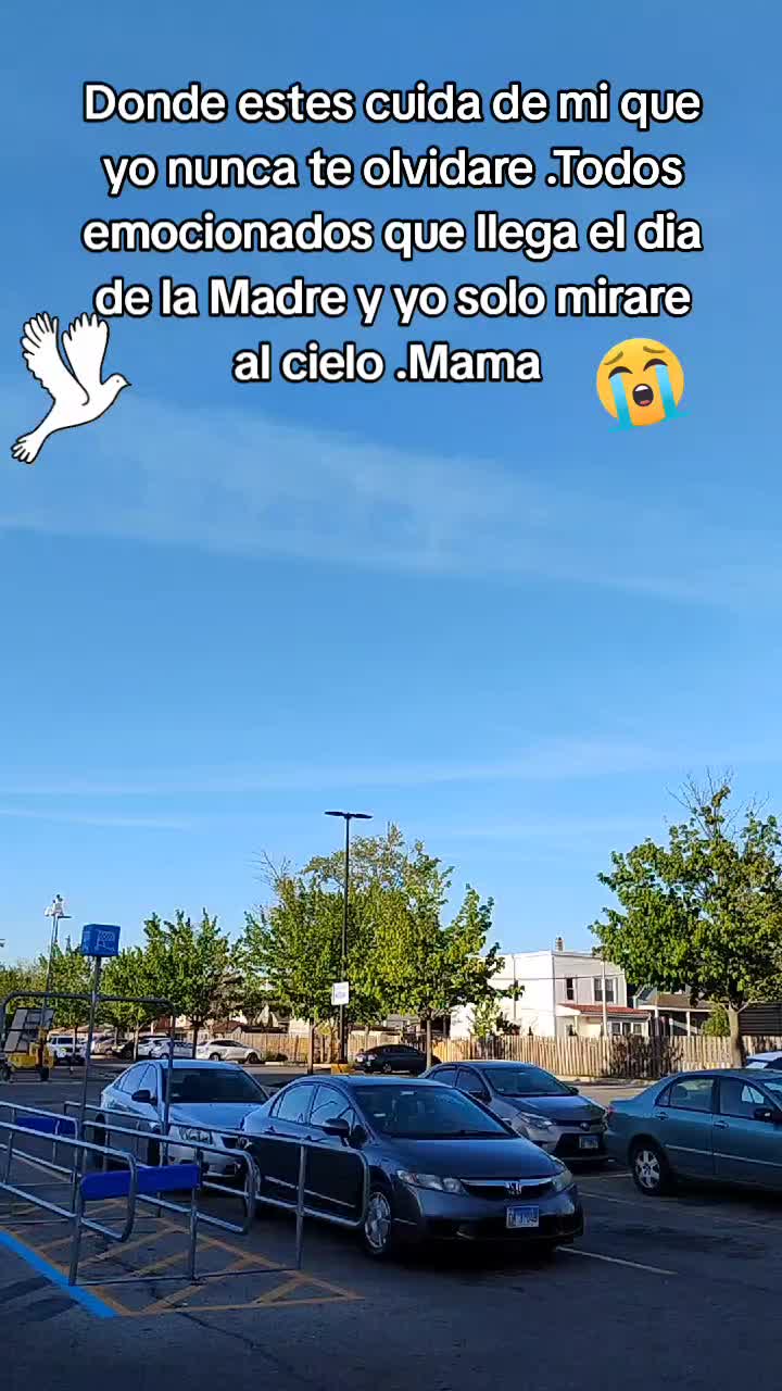 @Vilma Masapanta 🙏