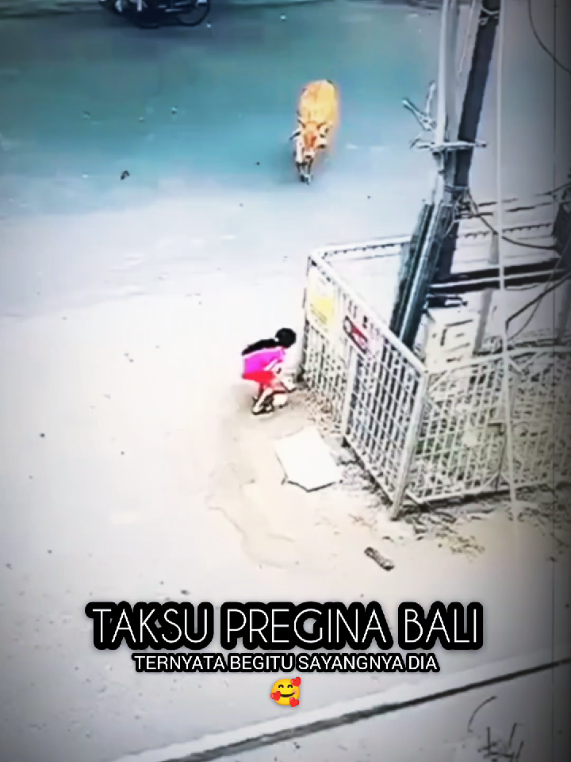 @TAKSU PREGINA BALI