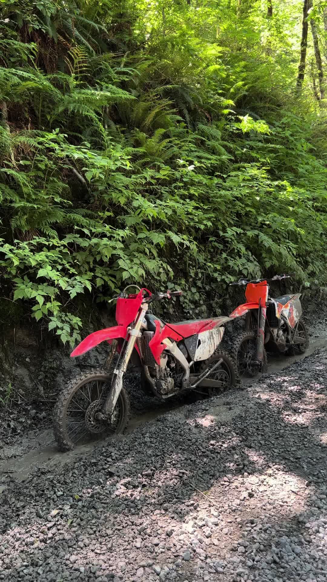 @Kylan250r