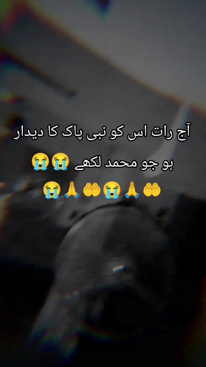 @<'پاگل' ہو >🦋