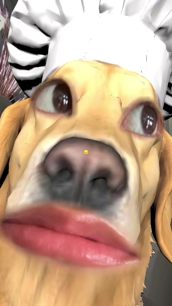 @Xay
