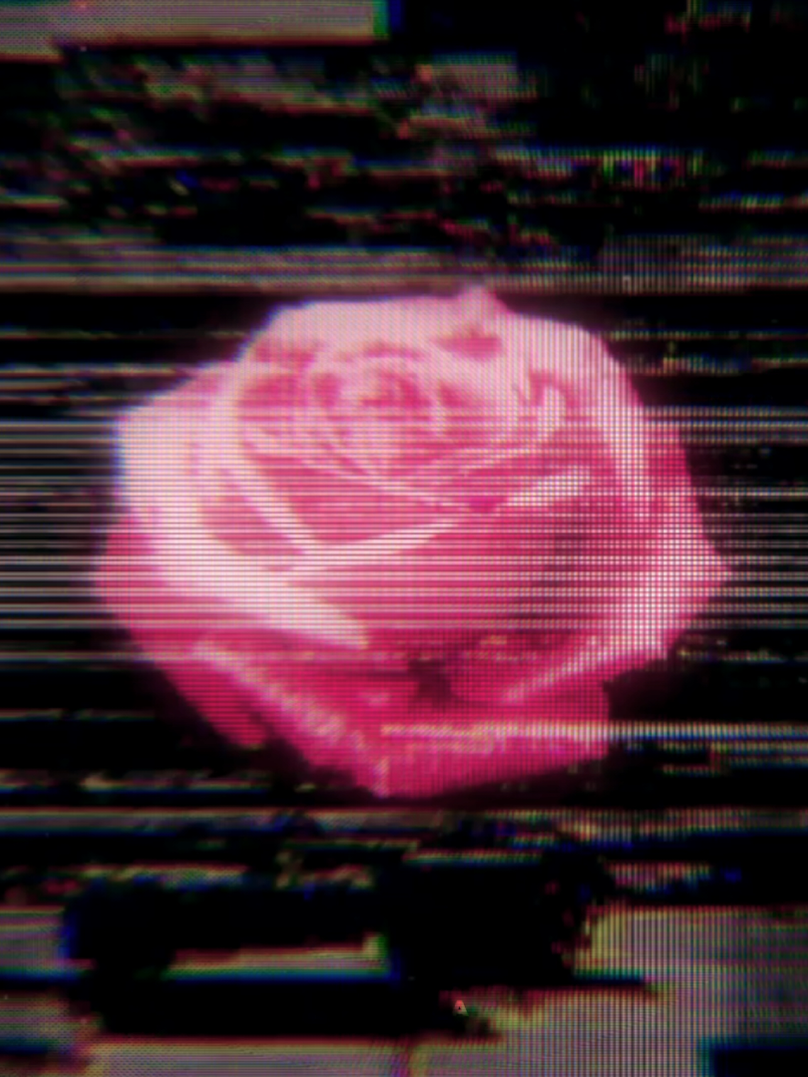 @Антонн⊹
