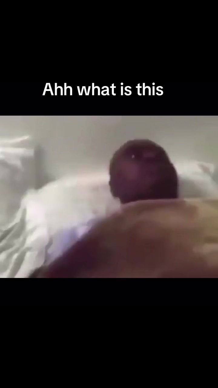 @Chale. shun. de. fuu